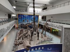 -中国地质大学逸夫博物馆