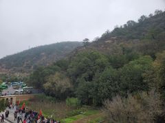 -延安杨家岭革命旧址