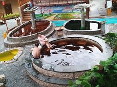 -观澜山水田园