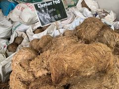 -大象粑粑造纸公园