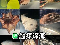 -凤凰中心
