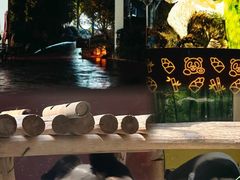 -杭州野生动物世界