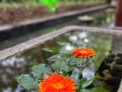 -天目湖御水温泉·度假酒店