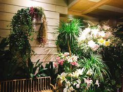 -春暖花开(西溪店)