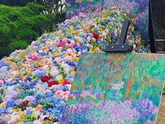 -上海共青森林公园