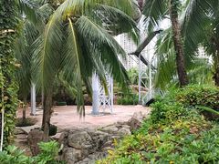 -亚马逊丛林水乐园