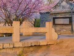 -三里河公园