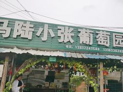 -马陆小张葡萄园农家乐