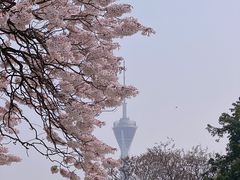 -红星桥(地铁站)