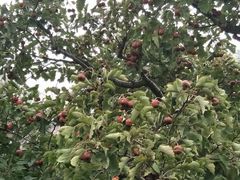 -郑州银基黄帝宫御温泉