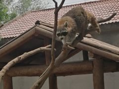 -石家庄市动物园