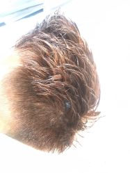 -曼都发型·臻选