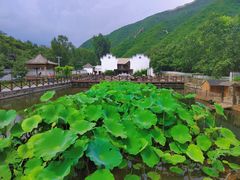 -荷塘味道(水长城店)
