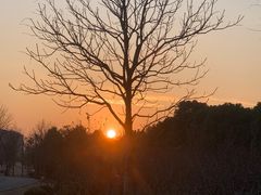 -广富林郊野公园-P5停车场