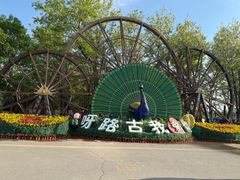 -呀路古热带植物园