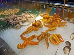 海星-369自助烤肉鱼火锅(平阳路店)