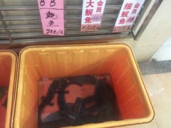 -荔城生鲜盛宴(番禺旗舰店)