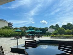 -厦门悦华酒店·绿庭主题自助餐厅