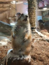 -Zoolung Zoolung动物主题公园(海信广场店)