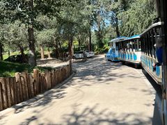 -北京野生动物园