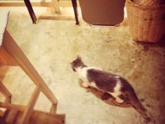 -MIKAKU(万达广场上海宝山店)