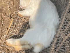 -宁波杭州湾国家湿地公园