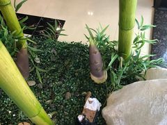-明思味 二十年潮粤菜(榕城东山店)