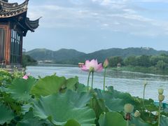 -湘湖大院(越王路店)