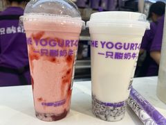 -一只酸奶牛(时代天街A馆店)