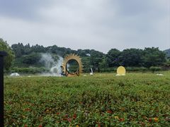 -南北湖风景区