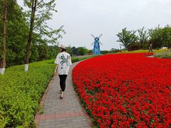 -铁山坪森林公园