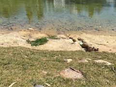 -三碗水湖生态园