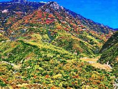 -白草畔自然风景区