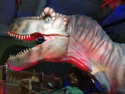 点击看大图 -恐龙探索乐园(磁器口店)