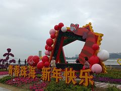 -野狸岛