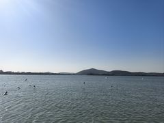 -蠡湖大桥公园