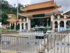 -深圳仙湖植物园
