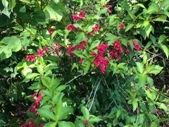 -一江春水·杭帮臻宴(三台山店)