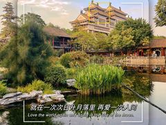 -顺峰山公园