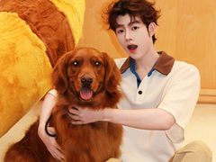 -帕帕拉兹宠物(亚洲旗舰店)