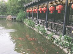 -武汉紫薇都市田园