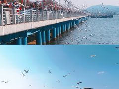 -海埂大坝