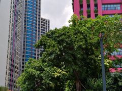 -广东博智林机器人有限公司