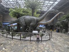 -国家自然博物馆