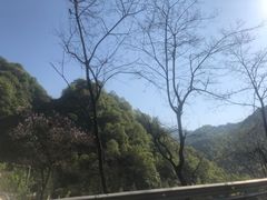-秦岭风景区