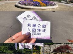 -嘉定紫藤园