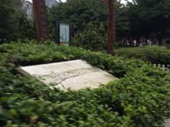 -神仙树公园