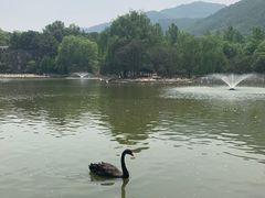 -西安秦岭野生动物园