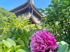 -龙华寺