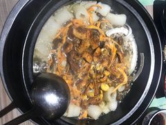 -探窝·竹笙椰子鸡(杨箕店)